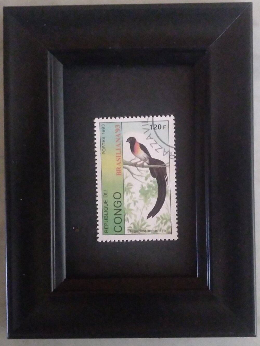 Framed Collectible International Postage Stamp - Exotic Bird